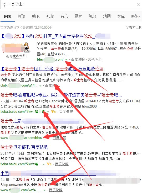 实业型赚钱项目有哪些（起盘容易的宠物玩法讲解）