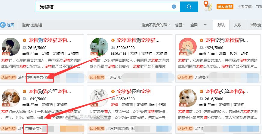 实业型赚钱项目有哪些（起盘容易的宠物玩法讲解）
