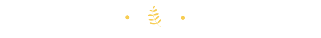 cps是什么意思，主流电商的cps平台玩法介绍