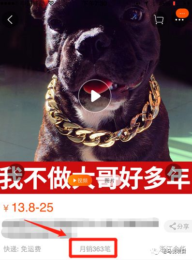 暴力蓝海市场项目：销售狗狗太阳镜！