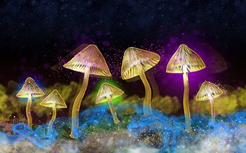 淘宝老店新开怎么起步？没流量怎么办？